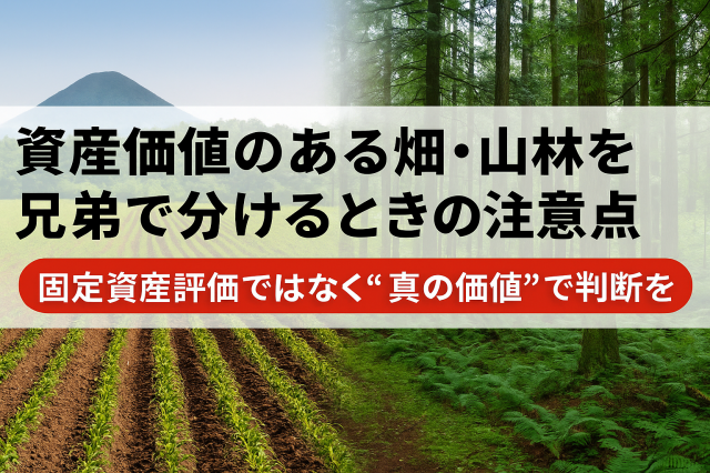   ## ■ 資産価値のある畑・山林を兄弟で分けるときのポイント  ―― **固定資産評価ではなく“真の価値”で判断を――**