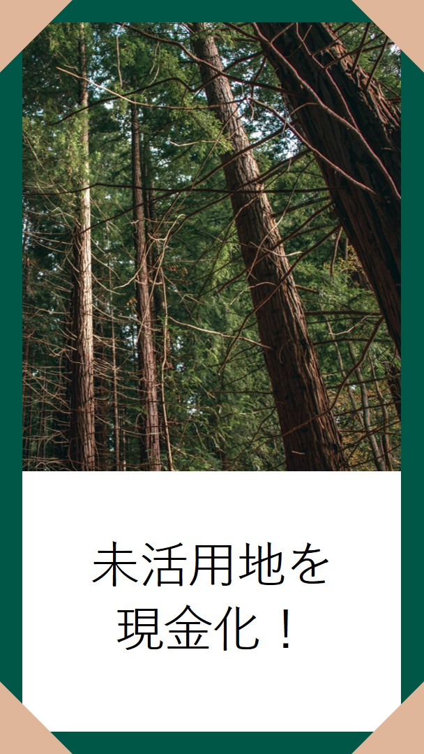 山林買取のメリット：あなたの未活用地が宝の山に？茅野市で山林、不動産所有者の皆さん、放置された山林が予想以上の価値を秘めているかもしれません。