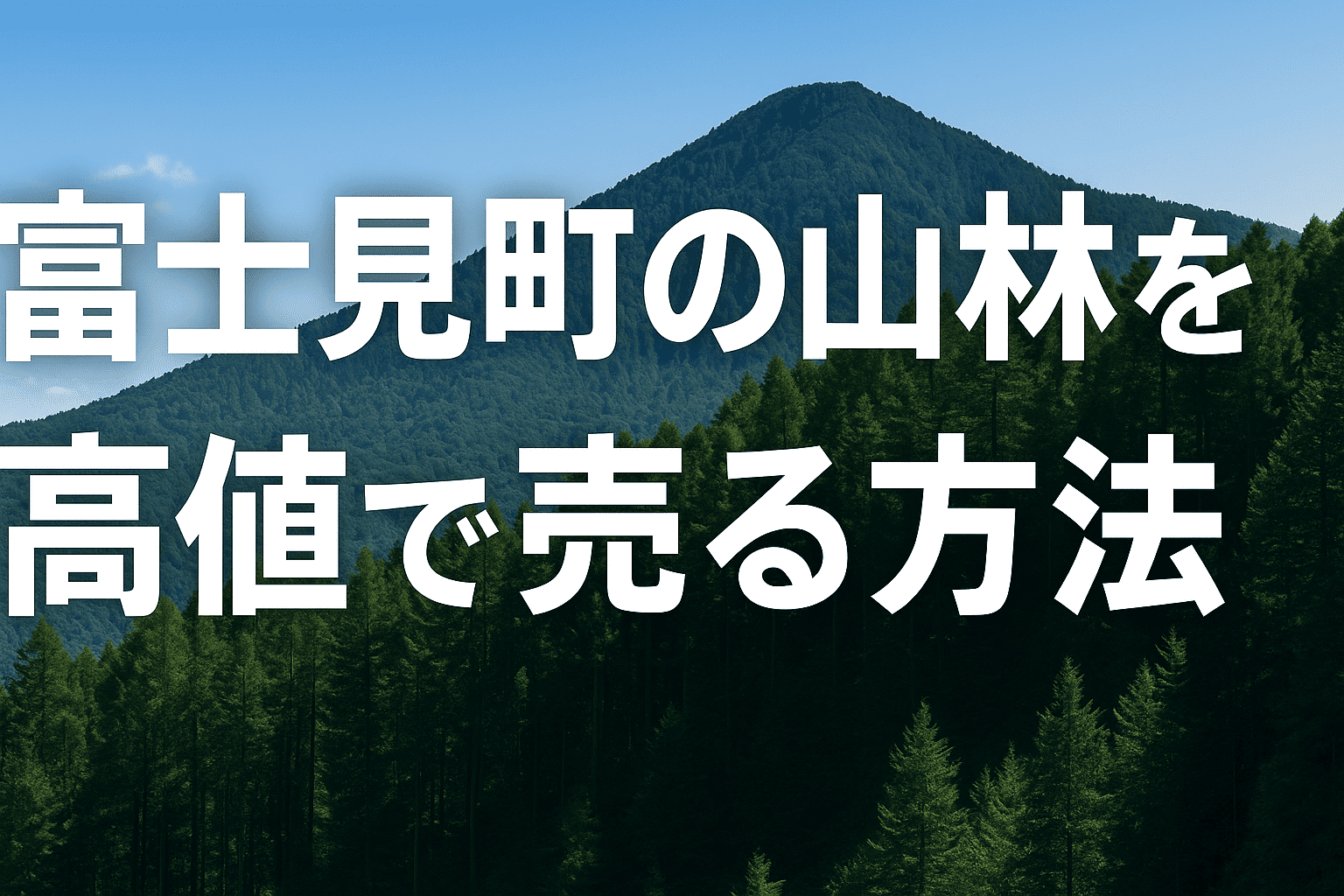 富士見町の山林を高値で売る方法
